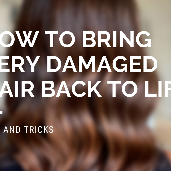 How to Bring Very Damaged Hair Back to Life ?