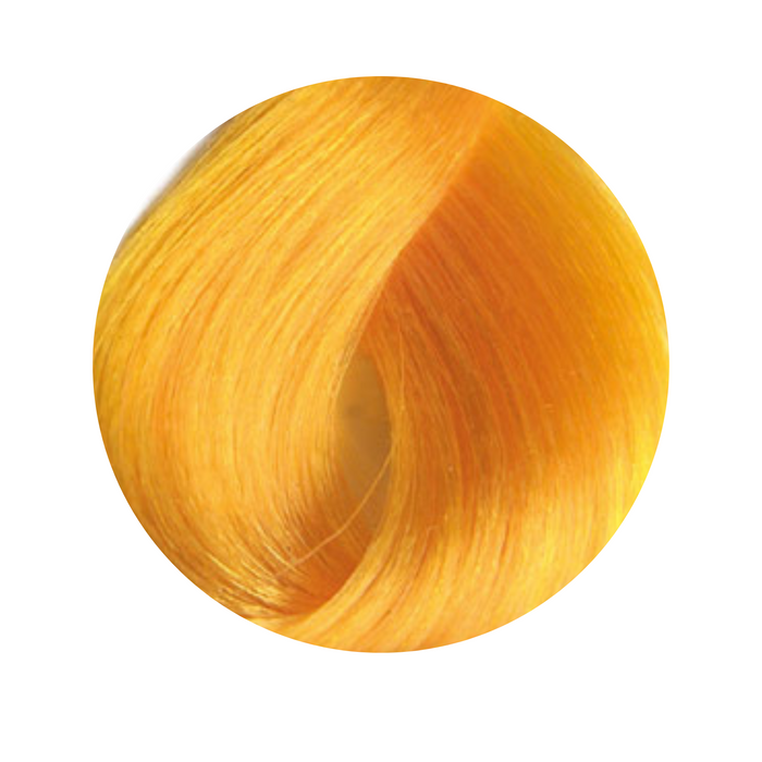 Selective REVERSO Hair Color - 100 ml