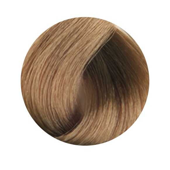 Selective Colorevo Hair Color 2/2 - 100 ml