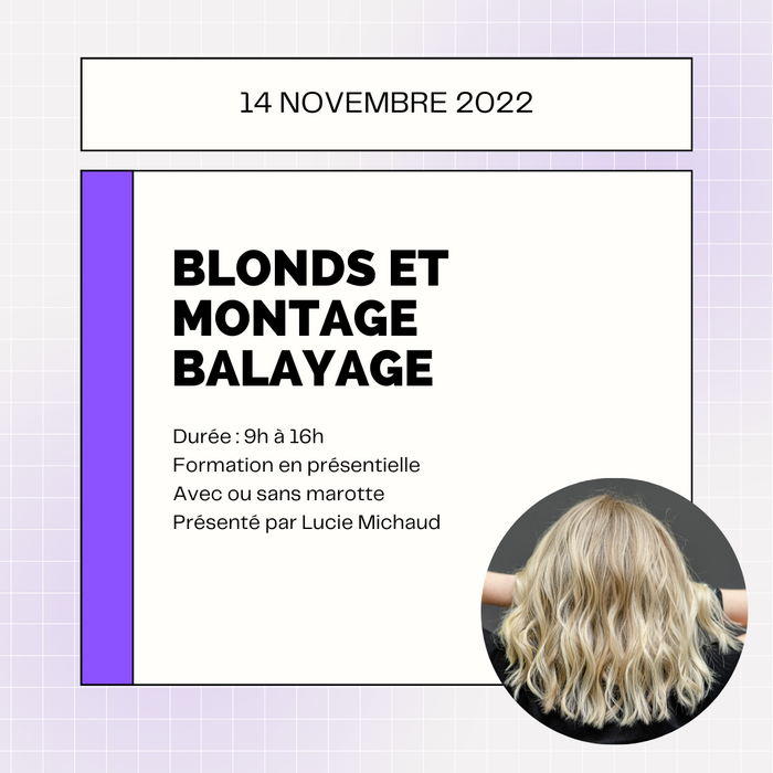 Formation - Blonds et montage balayage - Français/French