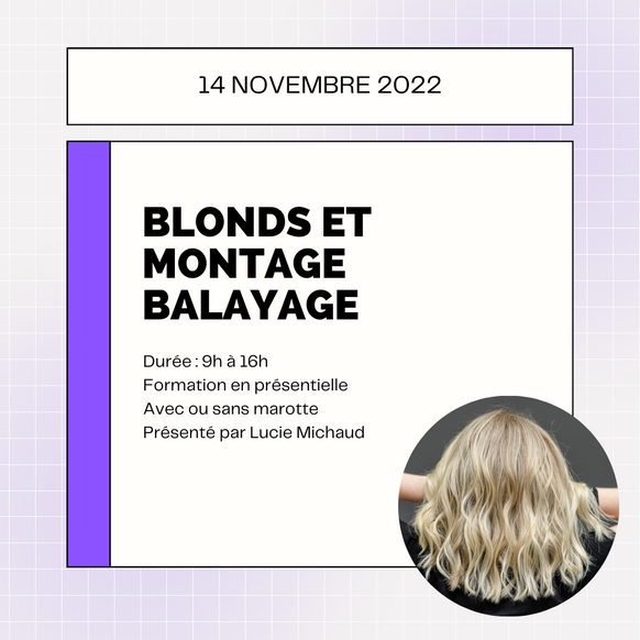 Formation - Blonds et montage balayage - Français/French